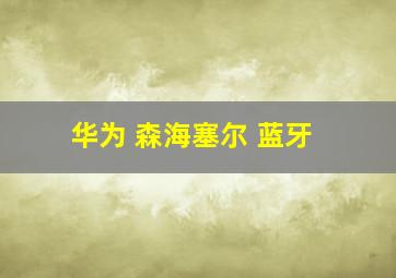 华为 森海塞尔 蓝牙